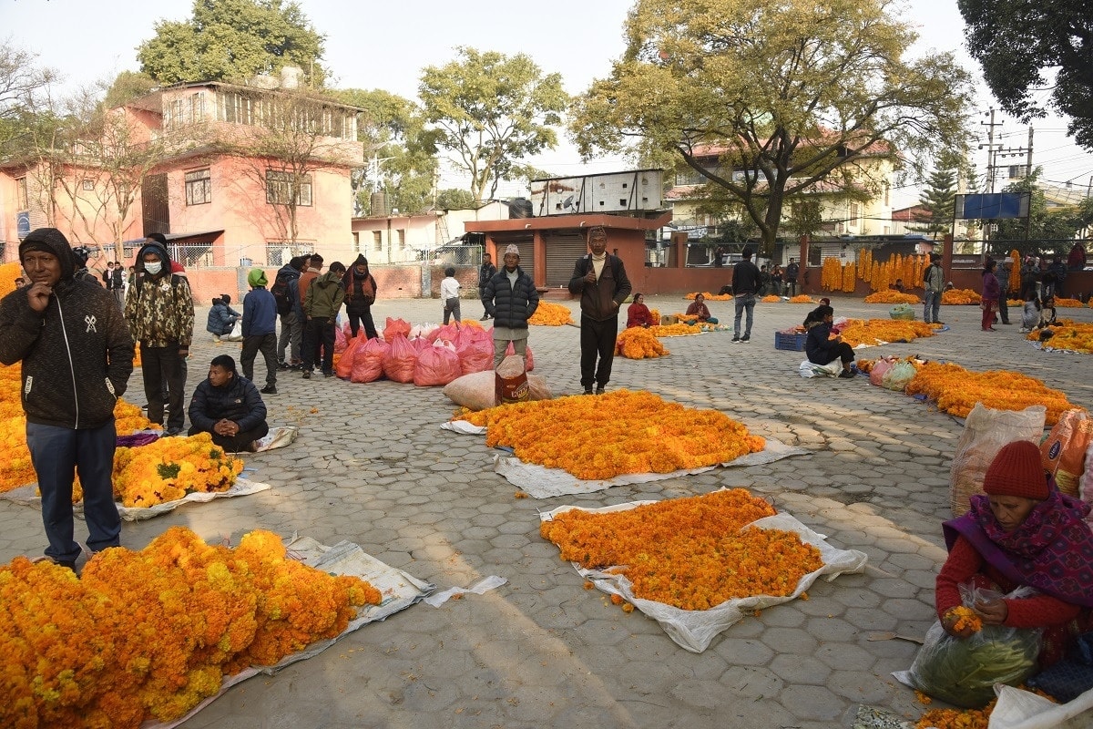 प्लास्टिकजन्य फूलमालाको बिक्री–वितरणमा रोक, बालेनले तोके फूलमाला बेच्ने ३२ स्थान