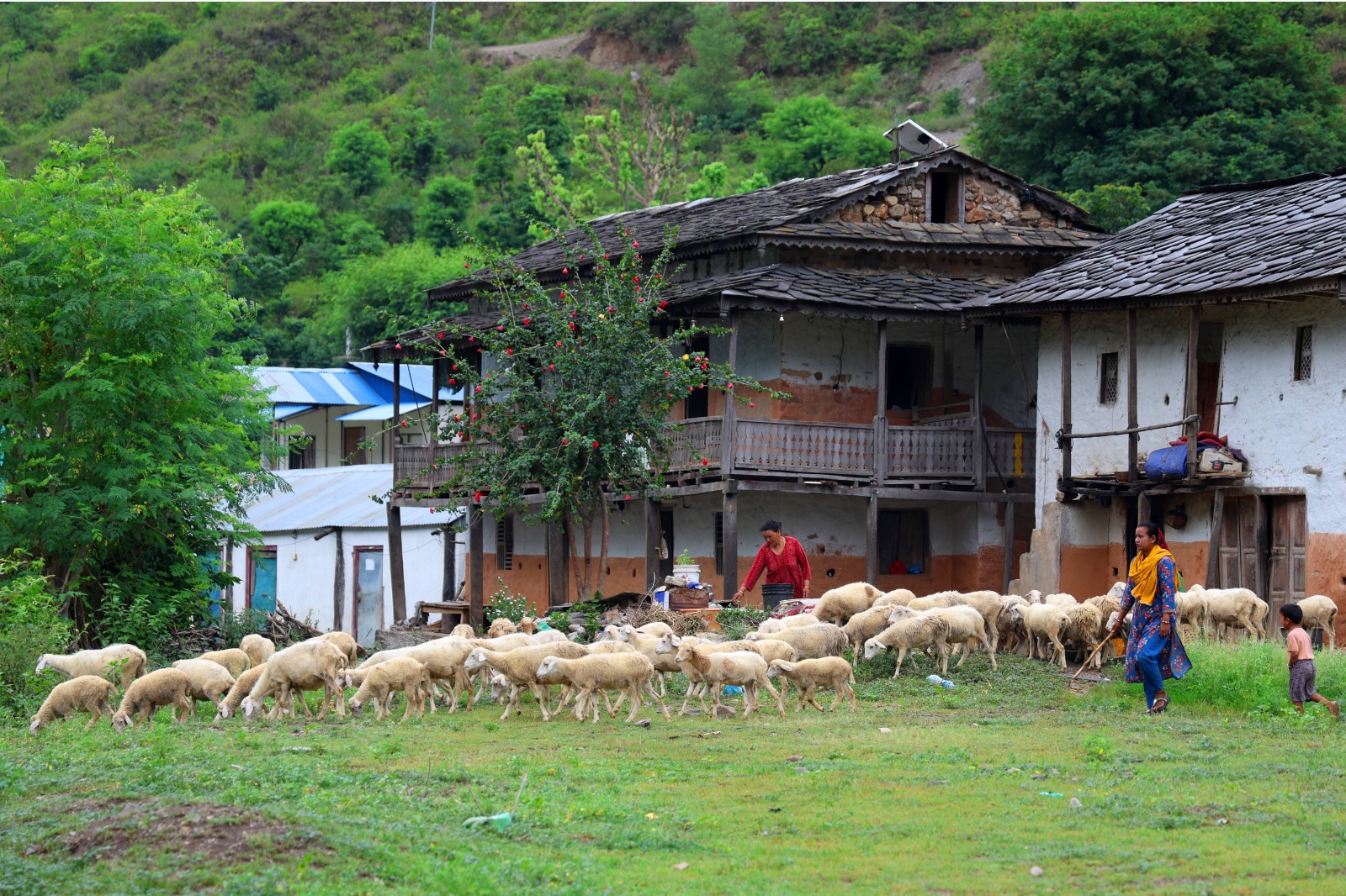 fikkal-sindhuli-(6)-1752239670.jpg